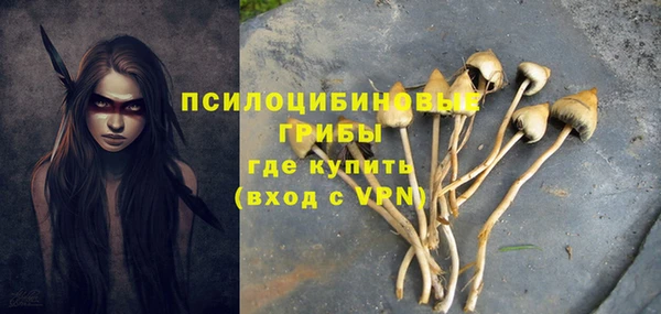 шишки Вязники