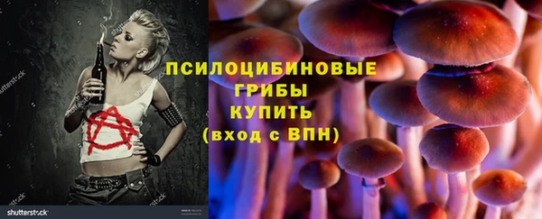 шишки Вязники