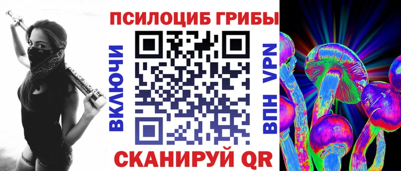 Купить где  Вихоревка  Псилоцибиновые грибы MAGIC MUSHROOMS 